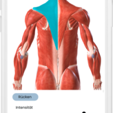 Volkskrankheiten: Ob Schmerzen im Knie, in der Hüfte, am Arm oder Nacken – in der Eversion-App werden die möglichen Schmerzstellen ...