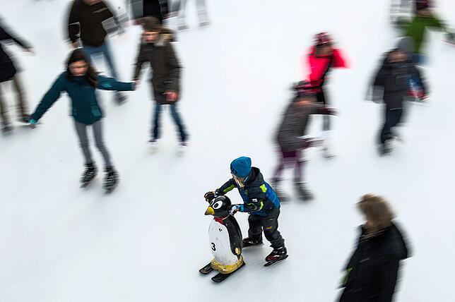 Das Eislaufen gehört im Winter einfach dazu. Die Bodensee-Arena öffnet dafür ihre Türen.