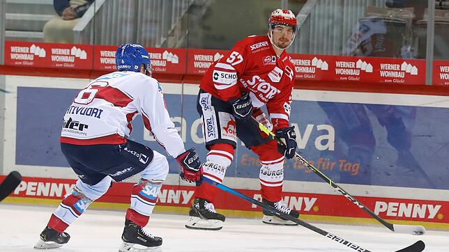 Daniel Weiß trug vergangene Saison in 26 DEL-Spielen das Wild Wings-Trikot