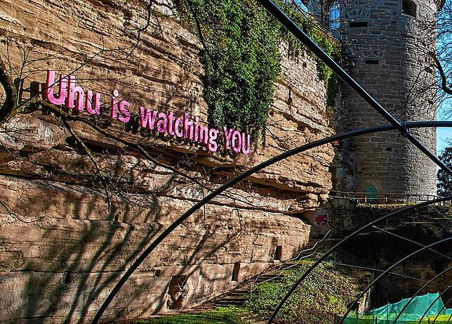 &bdquo;Uhu is watching YOU&ldquo; steht an der Molassewand.