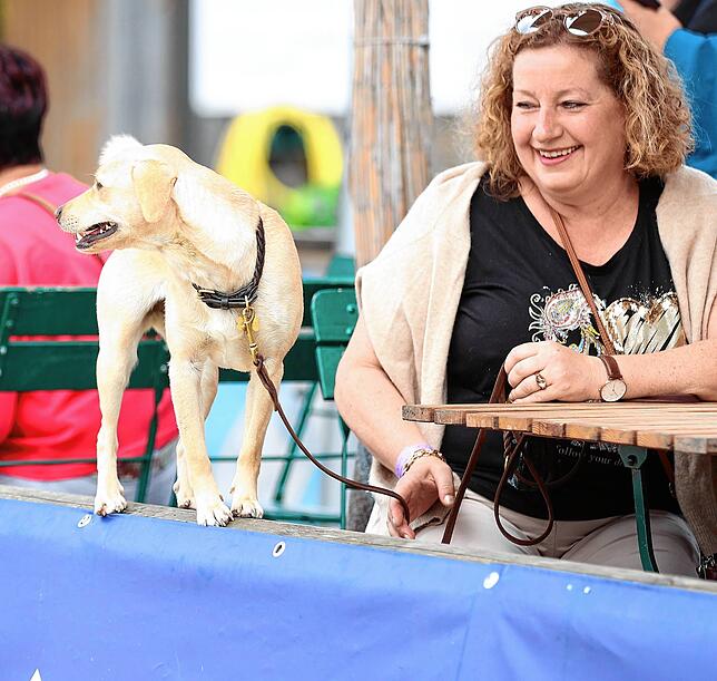Die Hundedichte beim Reitturnier ist sehr hoch, so ist auch Ingeborg Egle aus Neudingen mit ihrem tierischen Begleiter auf den ...