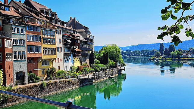 Blick auf den Rhein.