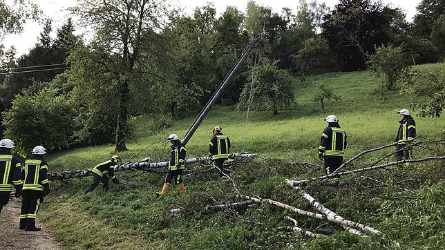 Die Einsatzkräfte schafften den umgestürzten Baum vom Weg beim evangelischen Jugendheim und zerlegten ihn.