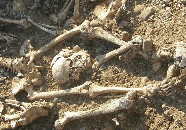 Bild 4: Weitere Skelettfunde bei Allensbach: Wurden die Überreste der Elsbalde gefunden, die als Hexe hingerichtet wurde?
