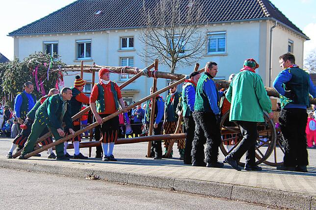 Bild 6: Radolfzeller Froschenzunft: So spektakulär wurde der Narrenbaum gestellt – alle Bilder!
