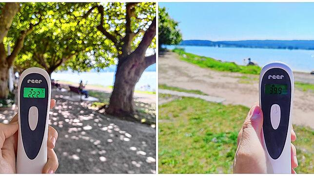 An der Mole am Seeufer hat man die Wahl: In der Sonne (rechts) ist es richtig heiß, unter den Platanen wieder angenehm kühl (links).