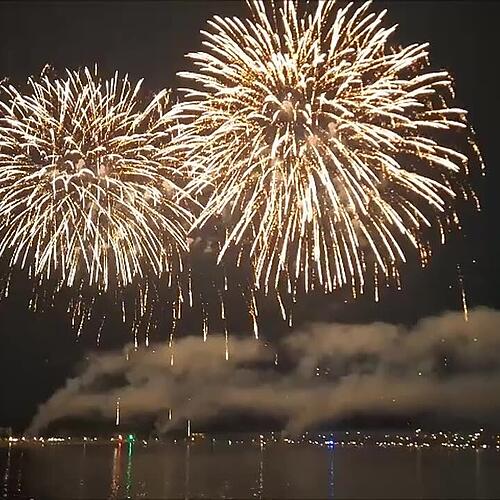 Gänsehautmoment! Das Feuerwerk beim Seenachtfest 2025