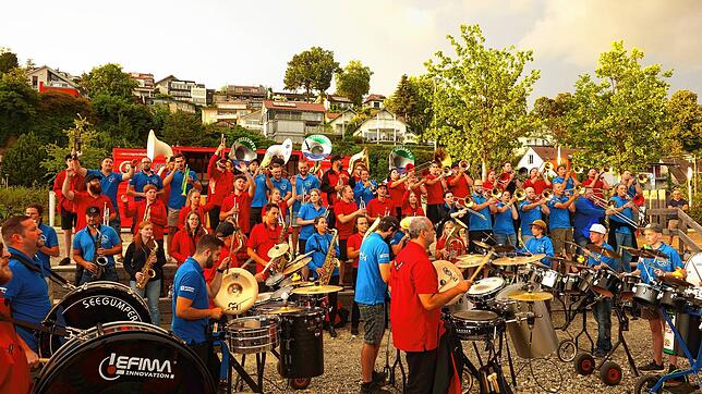 Bei ihrem Monsterkonzert im Rahmen der Seehelden-Reihe im Uferpark von Überlingen sorgten die blauen Seegumper und die roten Guggevamps ...