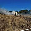 Die Feuerwehr Meßkirch musste bei Rohrdorf einen Flächenbrand löschen.