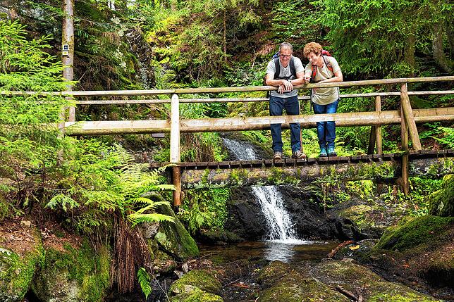 Jede Menge Natur können Sie bei unserer Wanderung in Todtmoos genießen.