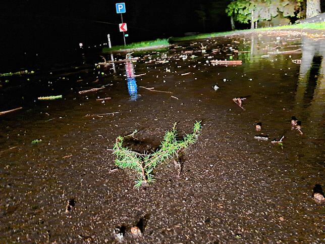 Gewitter-Impressionen vom Donnerstagabend bei Furtwangen: Abgerissene Äste und Zweige liegen auf der regennassen Straße.