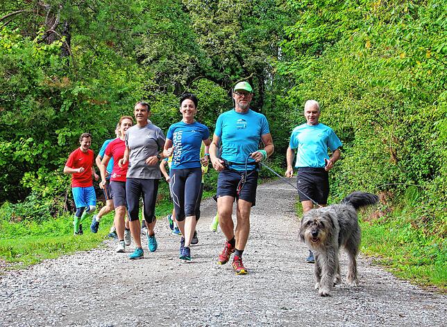 Und los geht‘s mit Zugkraftverstärkung! „Uffe“ oder „nauf“ auf den Gehrenberg bis zum Turm. Beim Lauf am ...