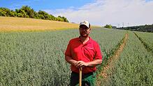 Stefan Leichenauer, 44, Landwirt in Tengen, setzt auf Luzerne als Futterpflanze für seine Ochsen. Seit zehn Jahren baut er erstmals auch ...