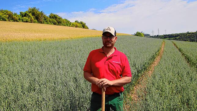 Stefan Leichenauer, 44, Landwirt in Tengen, setzt auf Luzerne als Futterpflanze für seine Ochsen. Seit zehn Jahren baut er erstmals auch ...