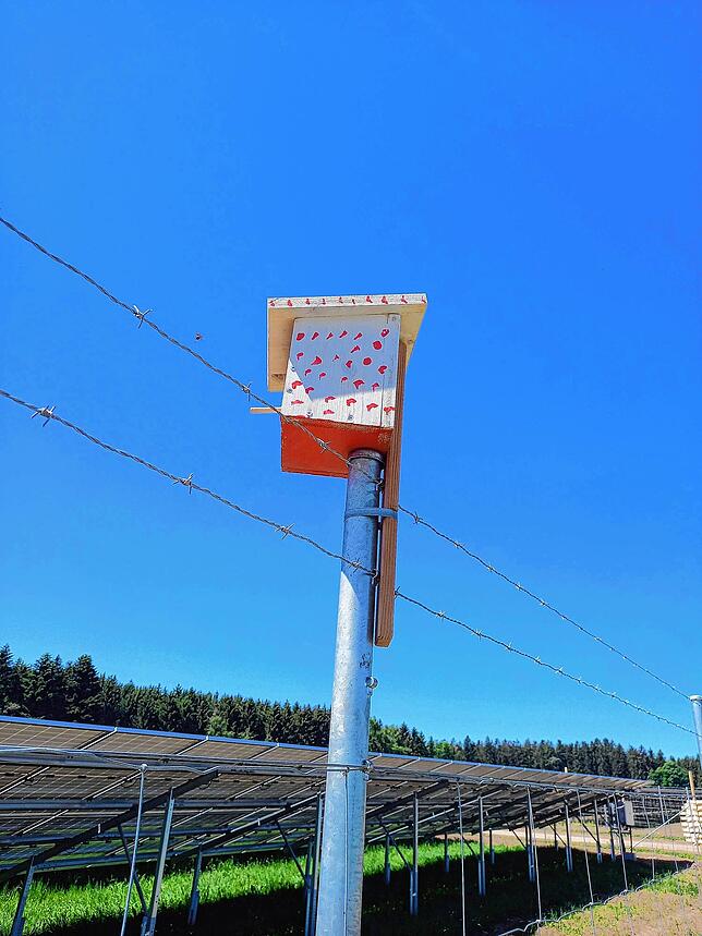 Schulkinder auf Pfaffenweiler haben bereits Nistkästen für Vögel gebaut. Sie wurden bereits am Zaun des Solarparks installiert.
