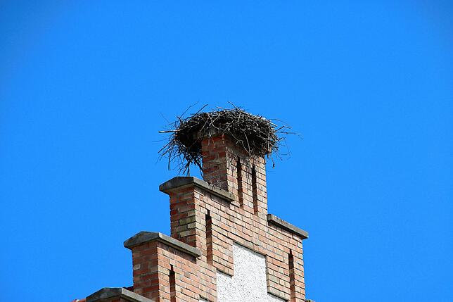 Der Storch hat ein neues Nest auf dem Stufengiebel des Nordflügels gebaut.