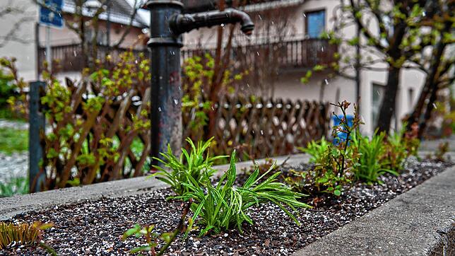 Mit Splitt aufgeschüttet und bepflanzt wurde einer von drei Brunnen im Überlinger Ortsteil Nesselwangen.