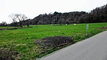 Im künftigen Gewerbegebiet West II soll es endlich losgehen. Schwörstadts Gemeinderat machte Zugeständnisse.