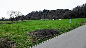 Im künftigen Gewerbegebiet West II soll es endlich losgehen. Schwörstadts Gemeinderat machte Zugeständnisse.