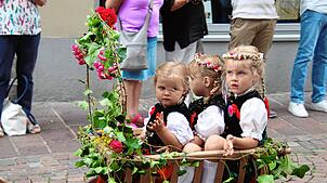 Bild : So schön ist unsere Heimat: Bilder vom Festumzug des 610. Schwyzertags in Tiengen