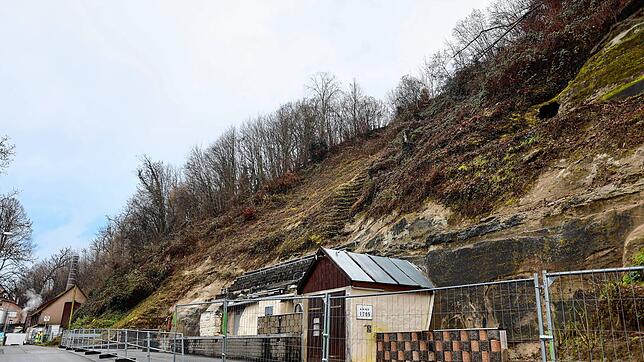 (Archivbild von Februar 2024) Ob vom Hang über der Ruppaner-Brauerei eine Gefahr ausgeht, muss nun ein Gutachter klären. Die Stadt ...