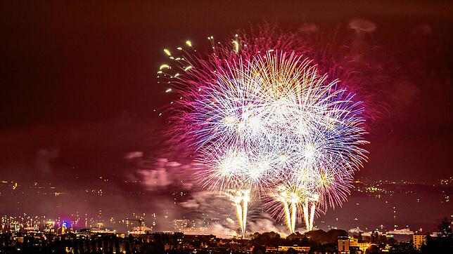 Lichter-Symphonie über Kreuzlingen beim Fantastical. Doch wie zeitgemäß sind Feuerwerke noch? In der Schweiz will sie eine ...