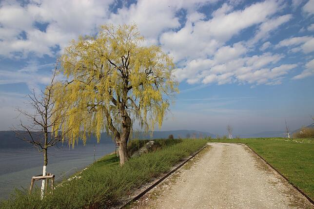 Blick über den neuen Uferpark in Richtung Sipplingen.