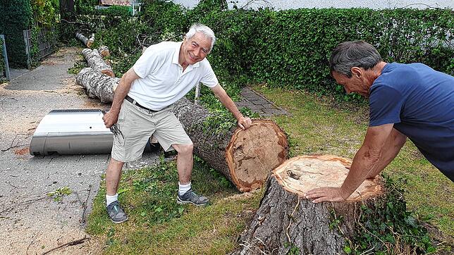 Minigolfbetreiber Cataldo Tarantino (links) und Rolf Geiger, der frühere Chef der Stadtgärtnerei Überlingen, begutachten den Baum.