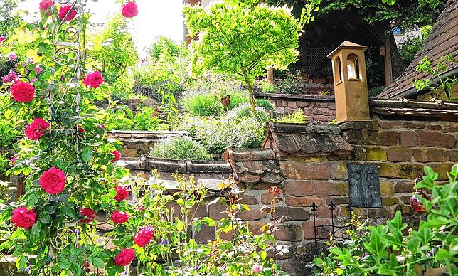 Bild 24: #SKverbindet: Das sind die schönsten Gartenprojekte unserer Leser