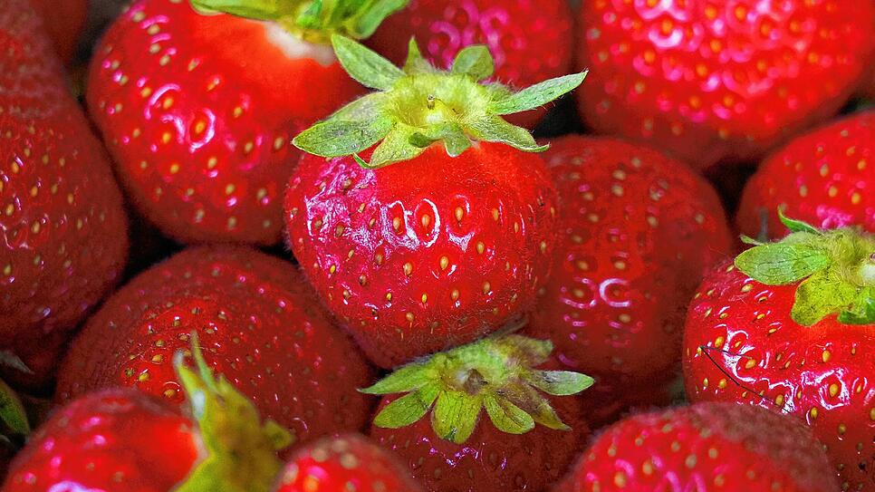 Bild : So viele Erdbeeren werden in Baden-Württemberg geerntet