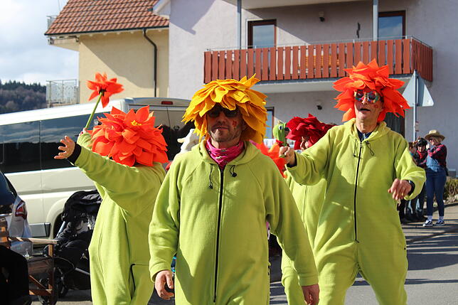 Bild 16: Bilder vom Rosenmontagsumzug in Wahlwies