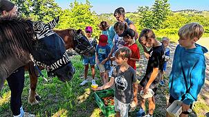 Auf dem Programm besuchen  die Kinder beim Ferienprogramm der bunten Arche auch den Bürginhof in Binzen. Foto: Bunte Arche