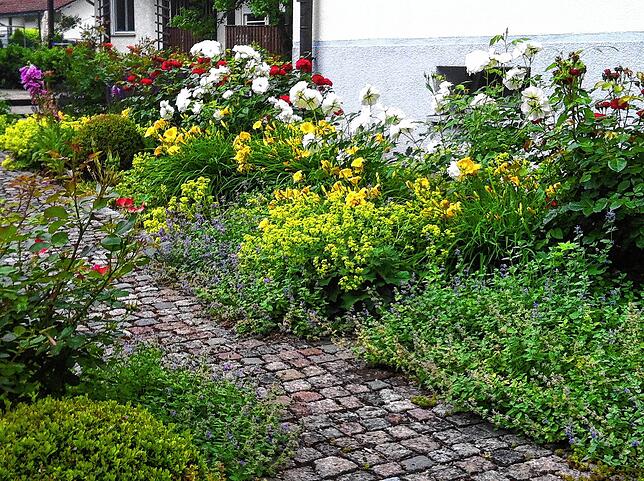 Ein Paradies auch für Blumen, im Garten von Norbert Mahler aus Wutöschingen