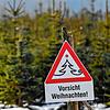 Weihnachtsbäume sehen schön aus, riechen gut und lassen sich nach dem Fest noch vielseitig verwenden.