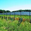 Der geplante Aacher Solarpark Hau soll einmal so aussehen wie der Solarpark Rumisbohl in Mühlhausen-Ehingen.