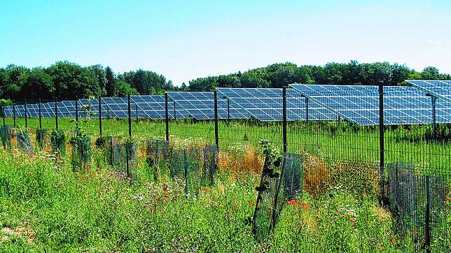 Der geplante Aacher Solarpark Hau soll einmal so aussehen wie der Solarpark Rumisbohl in Mühlhausen-Ehingen.