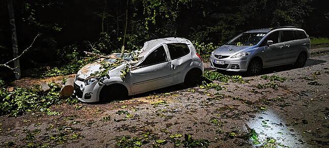 Bild 1: Unwetter trifft Konstanz hart: Das sind die Folgen der Sturmnacht