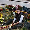Bild :