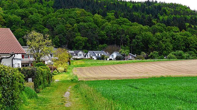 Direkt im Anschluss an das Sagenbuck-Quartier wird es bald wieder Baugrundstücke in Gailingen geben: Hier entsteht das Neubaugebiet ...
