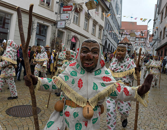 Bild 36: Tausende Hästräger und Musiker in Pfullendorf: Bilder vom Umzug (2)