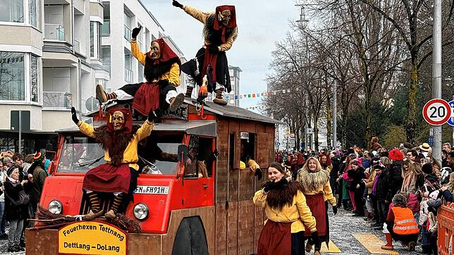 Bild 29: Großer Häfler Narrensprung in der Innenstadt &ndash; Teil 3