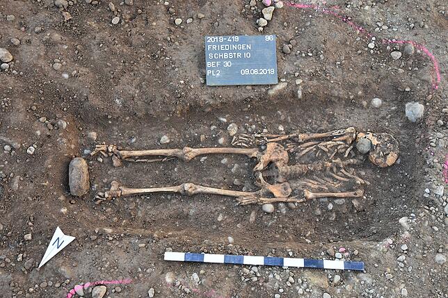 Vermutlich das Skelett eines erwachsenen Mannes. Die Alemannengräber stammen wohl aus der Zeit 500 bis 600 nach Christus.