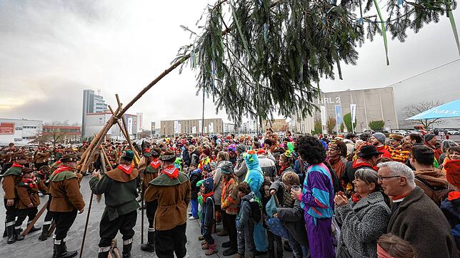 Hau Ruck! Der Kindernarrenbaum erstreckt sich in die Höhe! Für die Kleinsten ist das der Höhepunkt der Fasnacht.