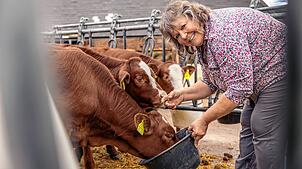 Mit Landwirtschaft kennt sie sich aus: Martina Braun, Grüne und Landtagsabgeordnete aus Furtwangen, im Kuhstall.
