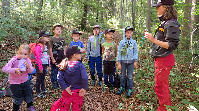 Beim Erlebnistag mit dem Förster erfahren die Kinder viel über den Lebensraum Wald. Försterin Marisa Schwenninger erklärt ihnen, was sie ...