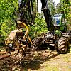 Ein Holz-Vollernter im Einsatz hinter dem Villinger Walkebuck. Dank dieser gigantischen und hochtechnisierten Maschinen ist es dem ...