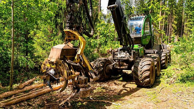 Ein Holz-Vollernter im Einsatz hinter dem Villinger Walkebuck. Dank dieser gigantischen und hochtechnisierten Maschinen ist es dem ...