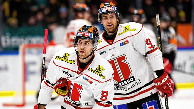 Die Zwillinge Tyson (vorne) und Tylor Spink stürmen kommende Saison erstmals in der DEL.