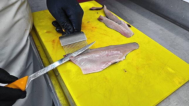 Ein Filetierkamm hilft dabei, die Gräten in einem Messerzug zu entfernen – ohne großen Fleischverlust.
