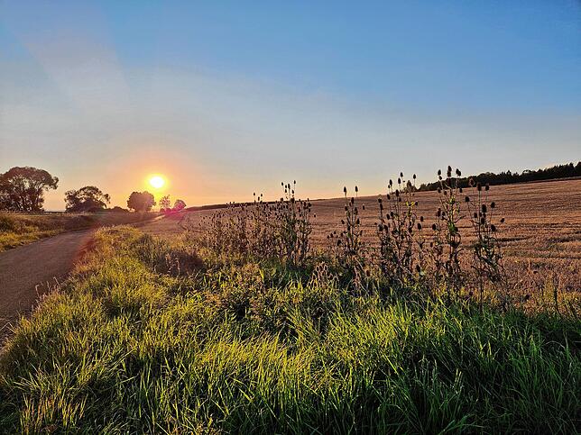 Ein August-Tag geht zu Ende, die Sonne nähert sich dem Horizont, die letzten Strahlen lassen das Gras im Vordergrund leuchten: Tanja ...